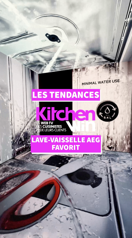 Lave-vaisselle Favorit AEG